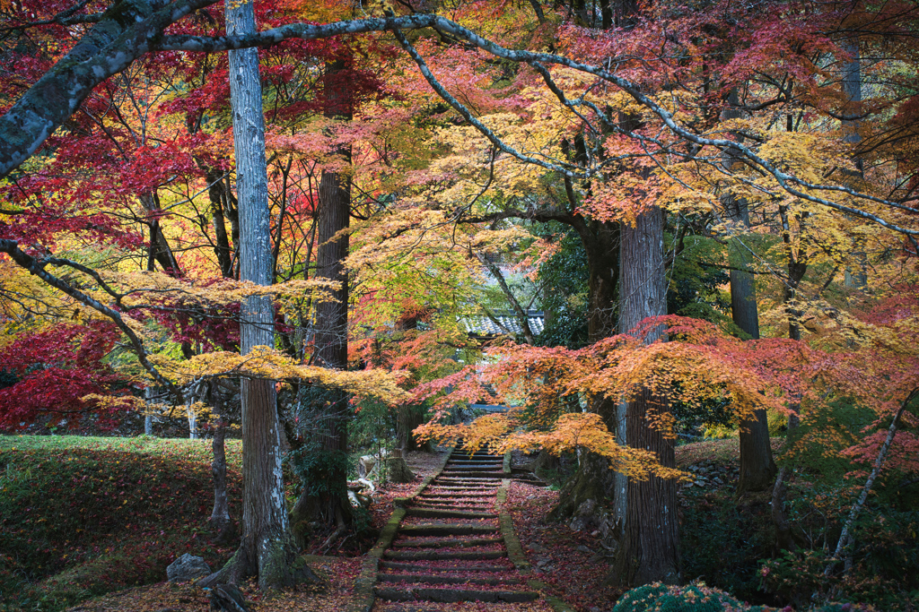 龍隠寺1