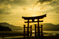 大鳥居夕景