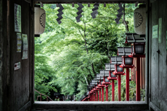 春の貴船2