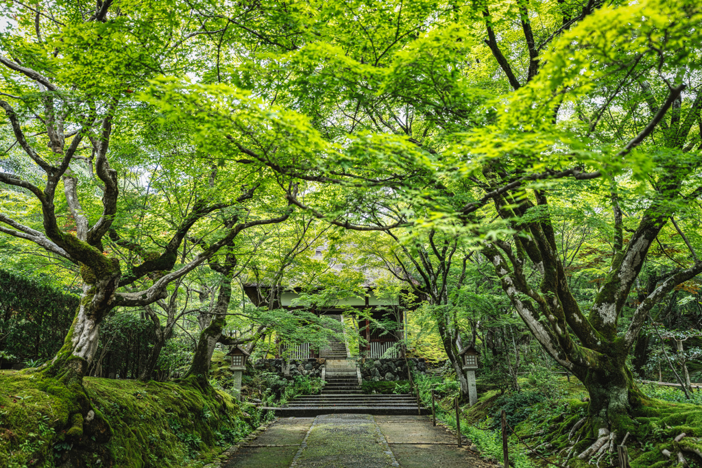 常寂光寺1