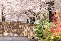 木屋町散歩3