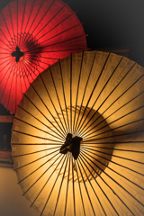 百華百彩5