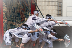 函谷廻ってます