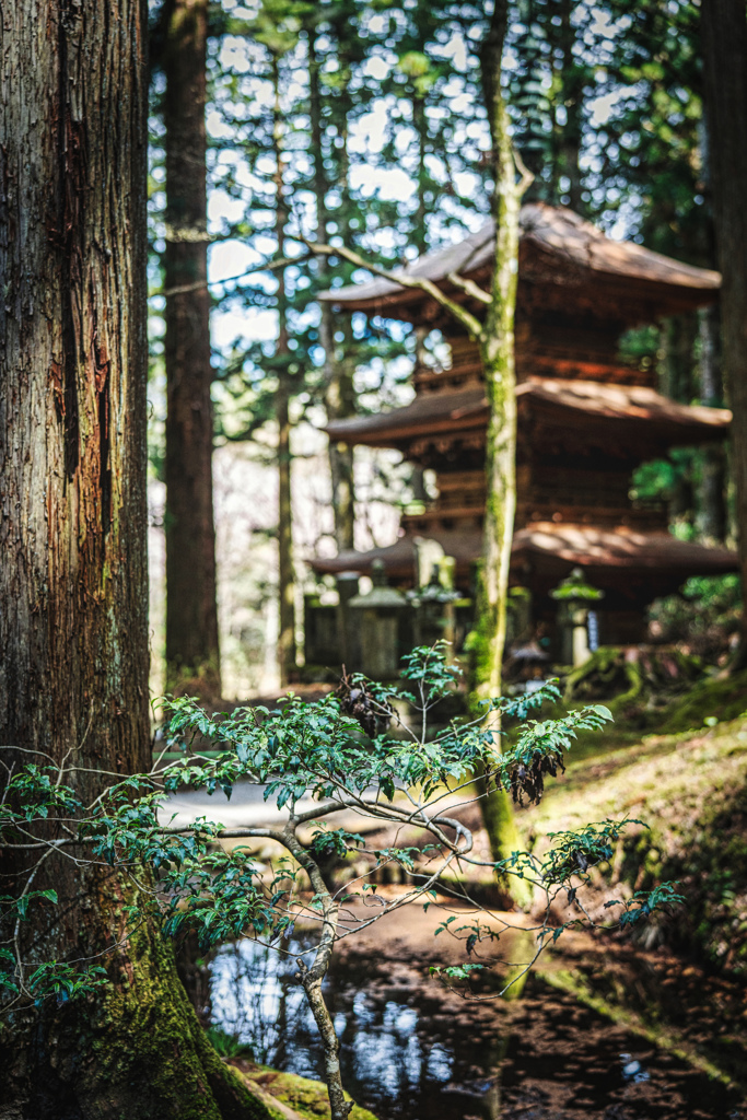光前寺3