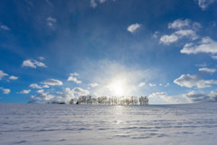 冬、はじまりました