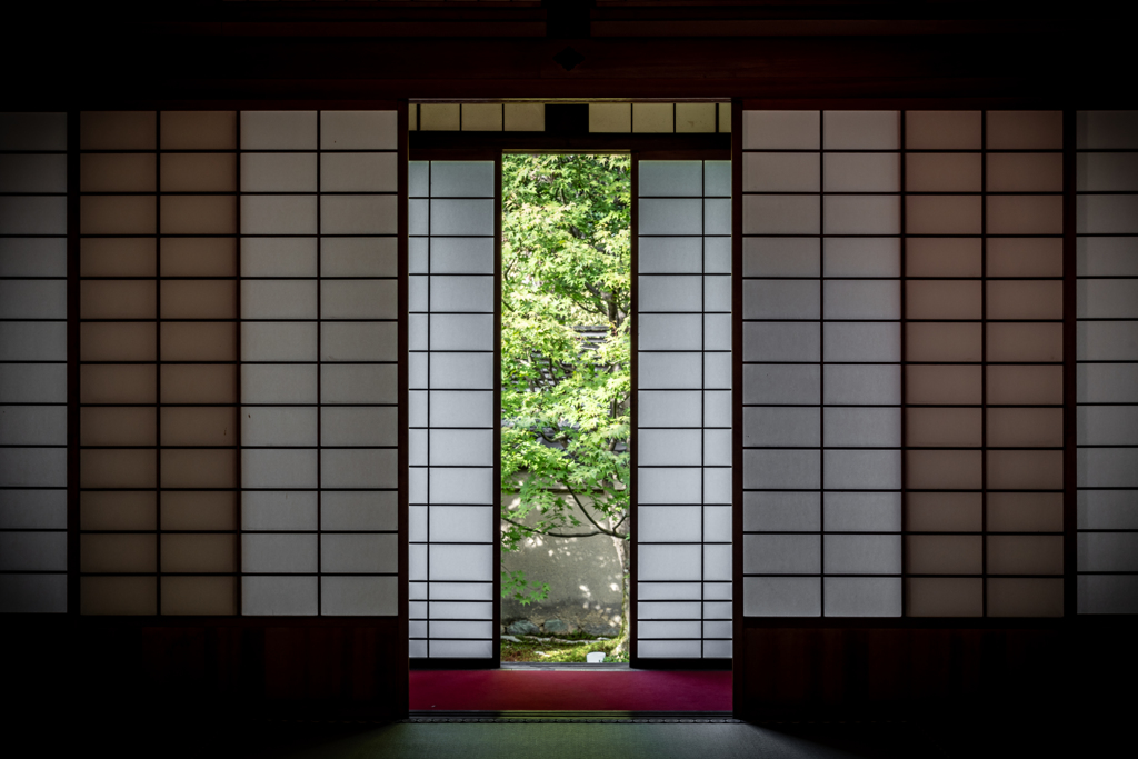 初秋の雲龍院2