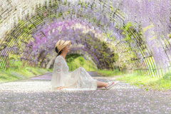 河内藤園2回目の1