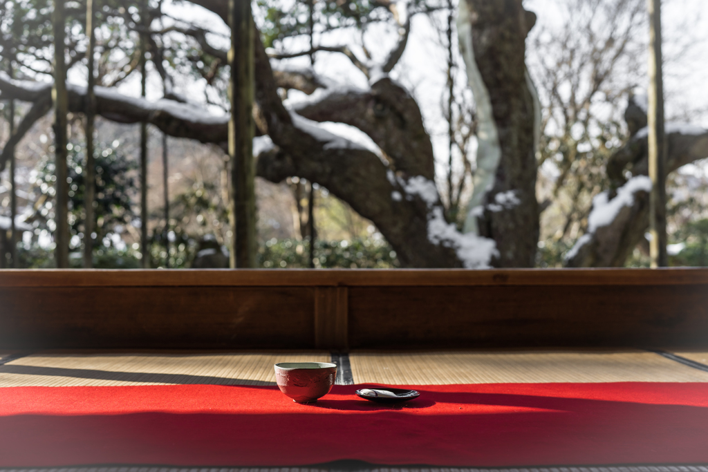 冬の宝泉院2