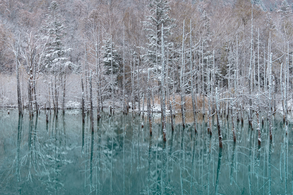 雪と青い池 