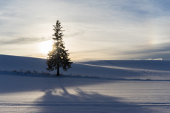 もうすぐクリスマス