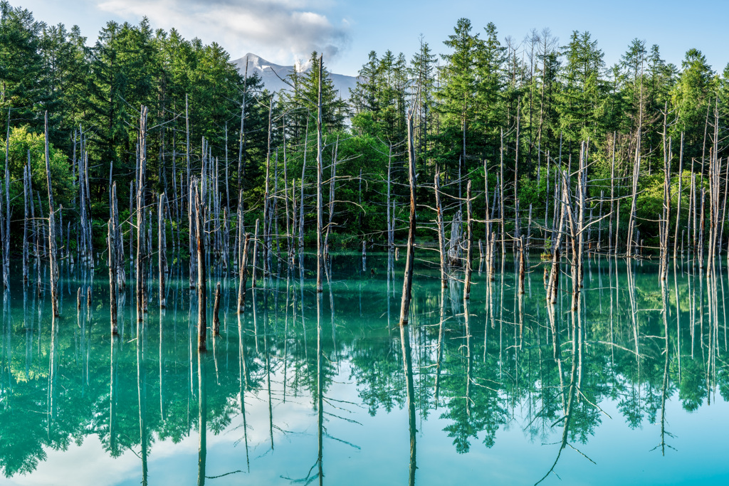 夏の青い池