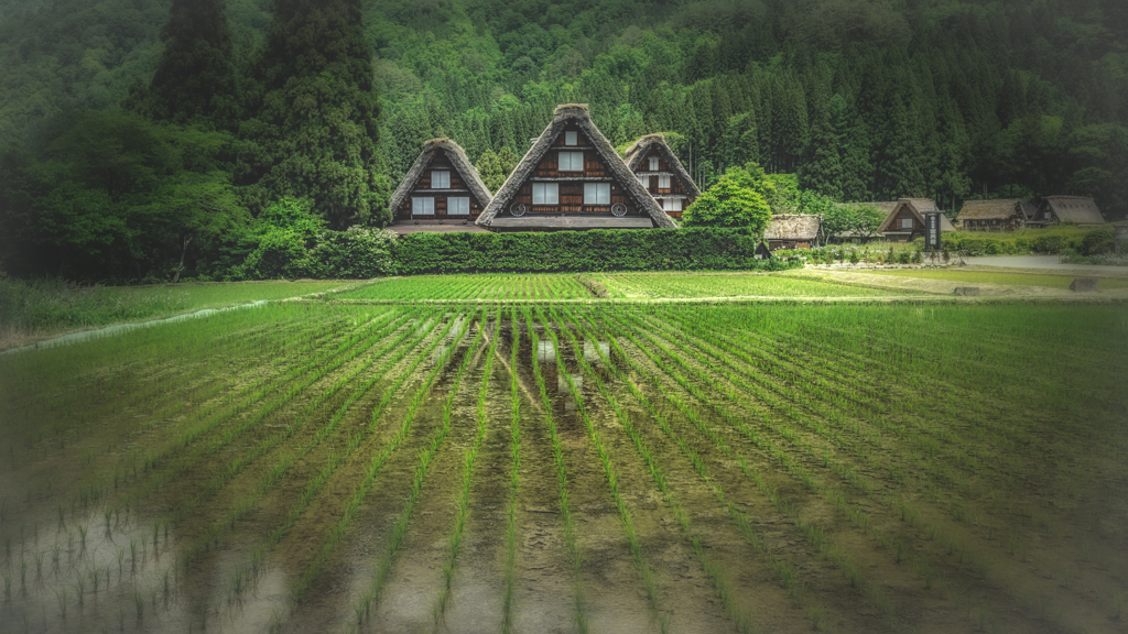 白川郷1