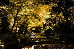 高台寺石段