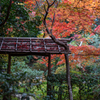 厭離庵