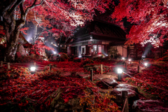 夜の教林坊2