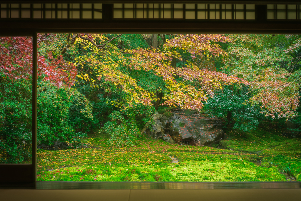 秋の瑠璃光院4