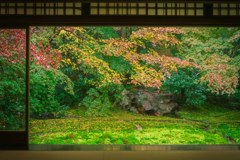 秋の瑠璃光院4