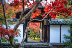 一休寺1