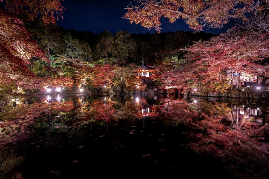 夜の醍醐寺1