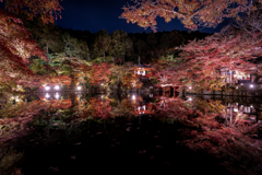 夜の醍醐寺1