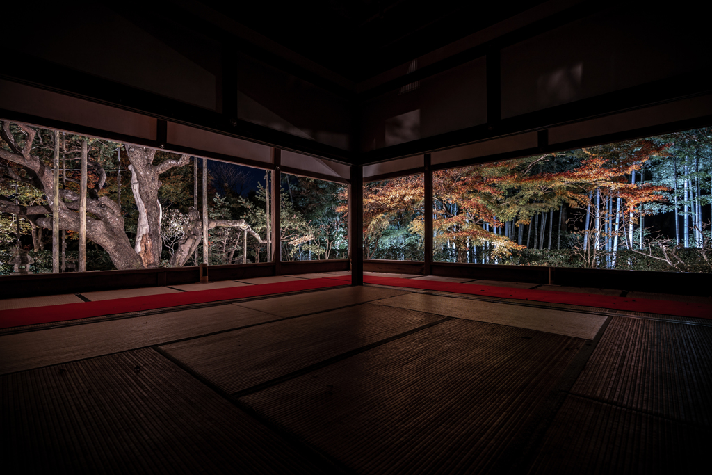 夜の宝泉院1
