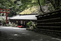 鳥居本2