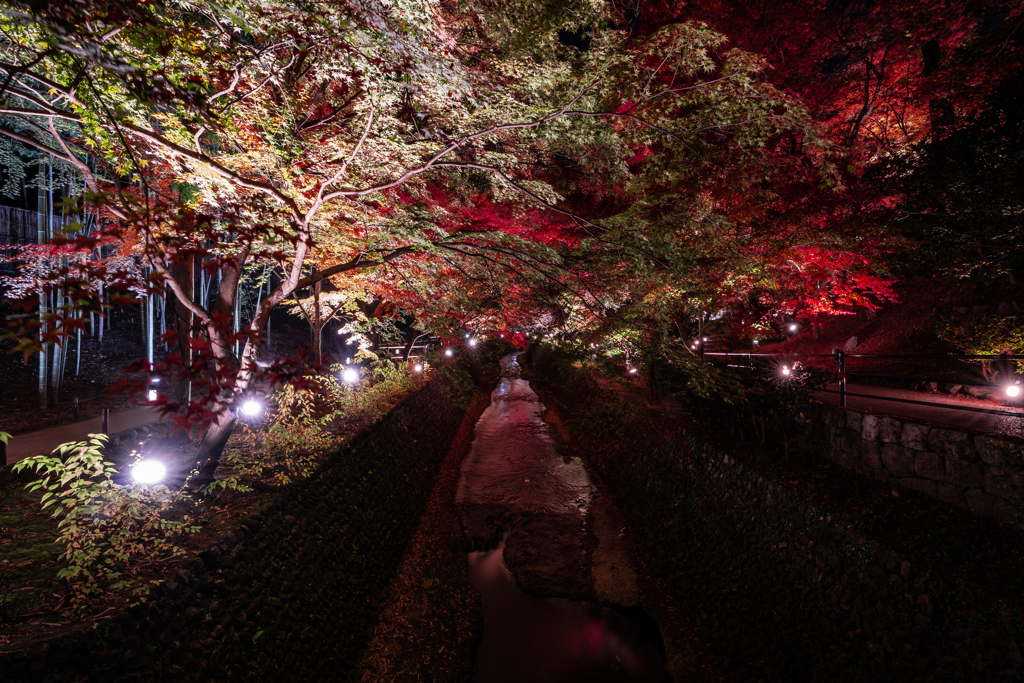 夜の北野天満宮御土居2