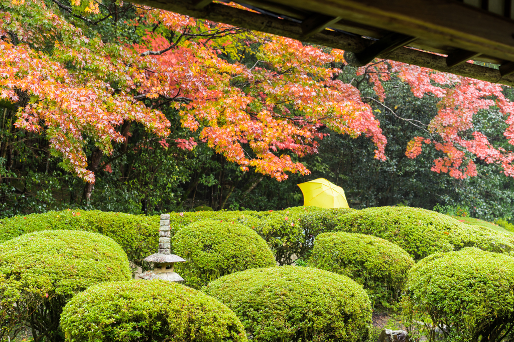 雨の詩仙堂2