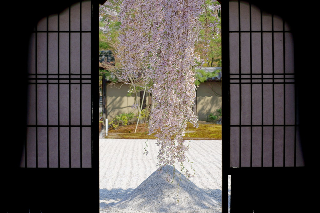 春の高台寺