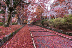 秋の毘沙門堂1