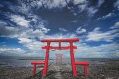 夏色九州9