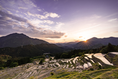 丸山千枚田1