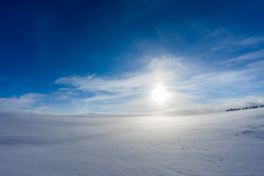 雪原