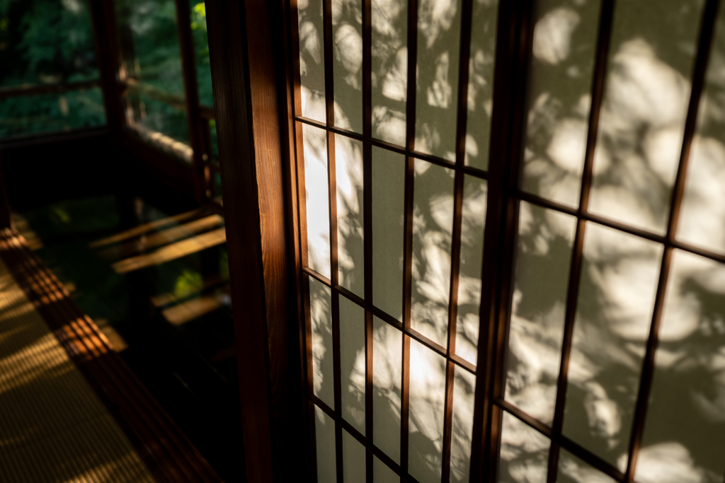 西日差す時間に3