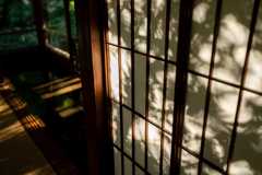 西日差す時間に3