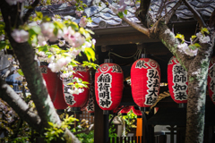 雨宝院3