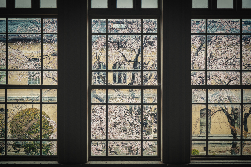 京都府庁旧本館4