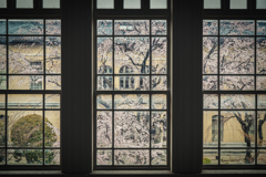 京都府庁旧本館4