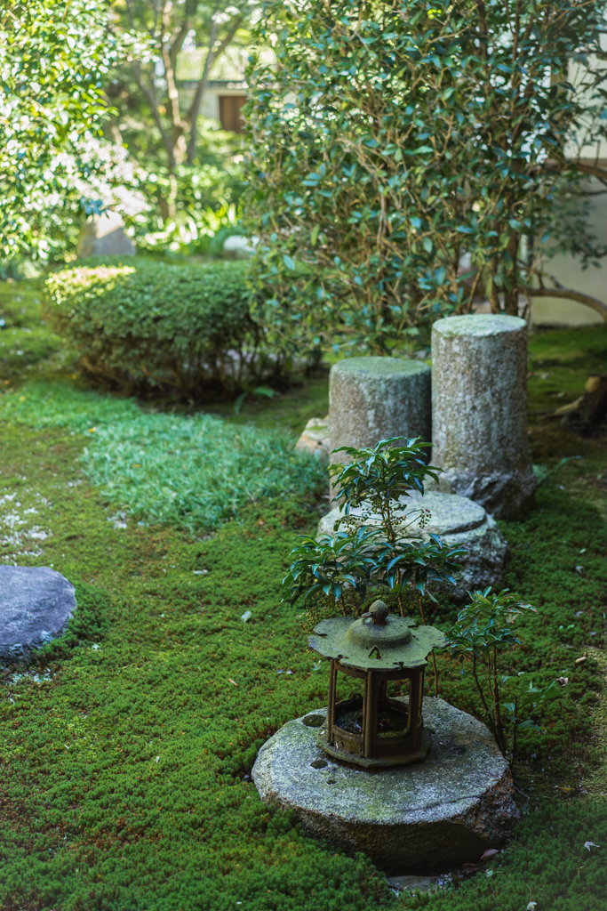 東福寺本坊庭園6