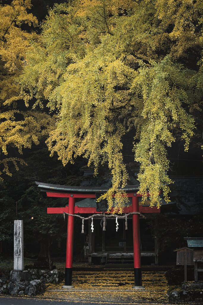 岩戸落葉神社