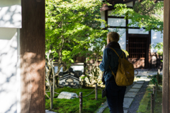 そうだ龍吟庵行こう