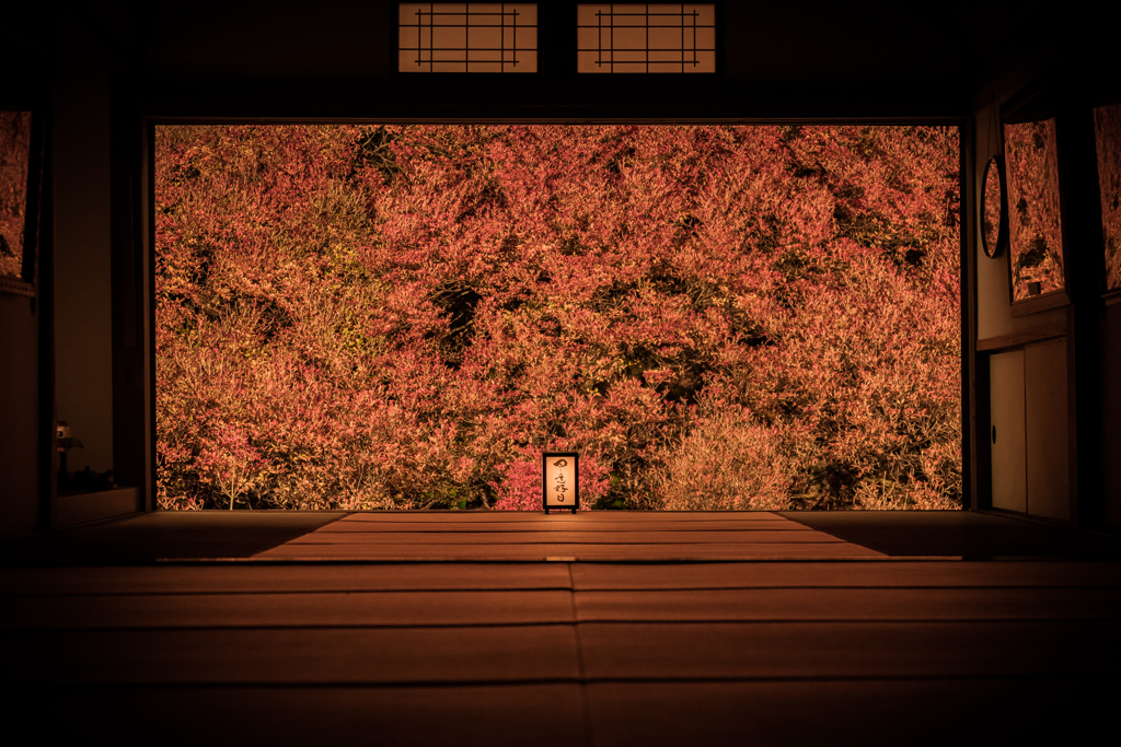 安国寺1
