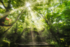 常寂光寺1