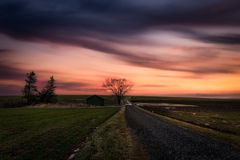 いつかの美瑛21