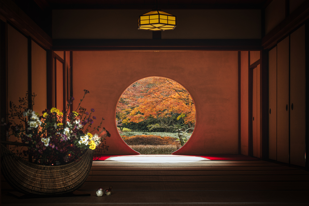 秋の明月院1