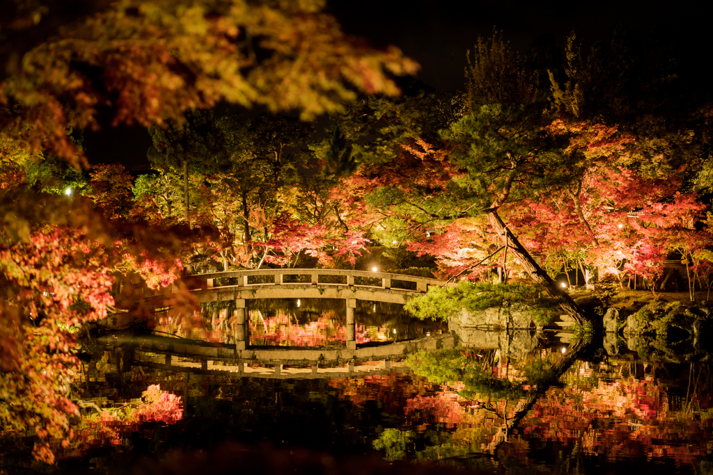 夜の永観堂1