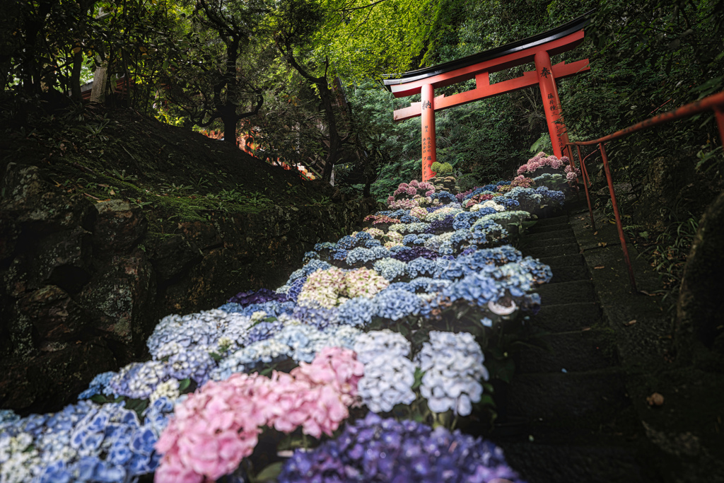 楊谷寺2