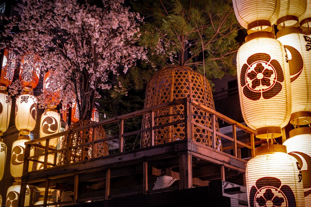 山の桜はどうですか