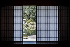 そっと覗いて見てごらん