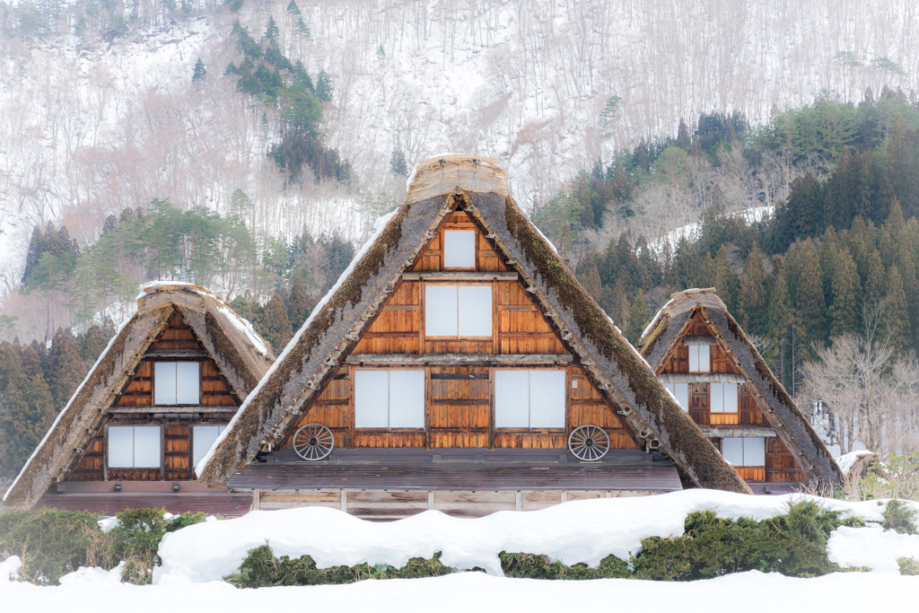 冬の白川郷